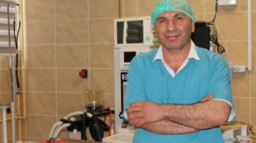 Midesi D&ouml;nen Sığır Eski Sağlığına Kavuştu