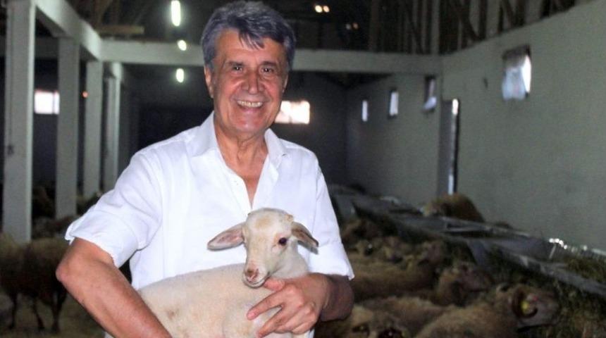 Btso Eski Meclis Başkanı Hayvancılık Sekt&ouml;r&uuml;ne Girdi