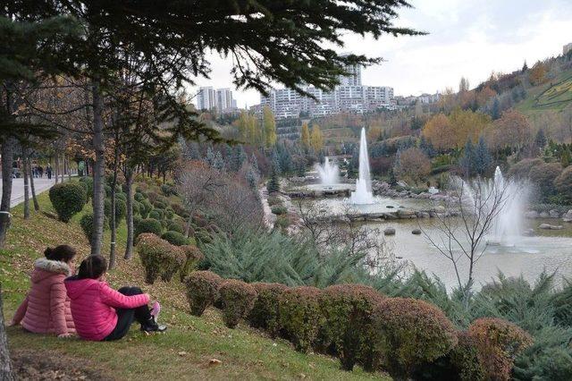 Ankara Sonbaharda Ayrı Güzel