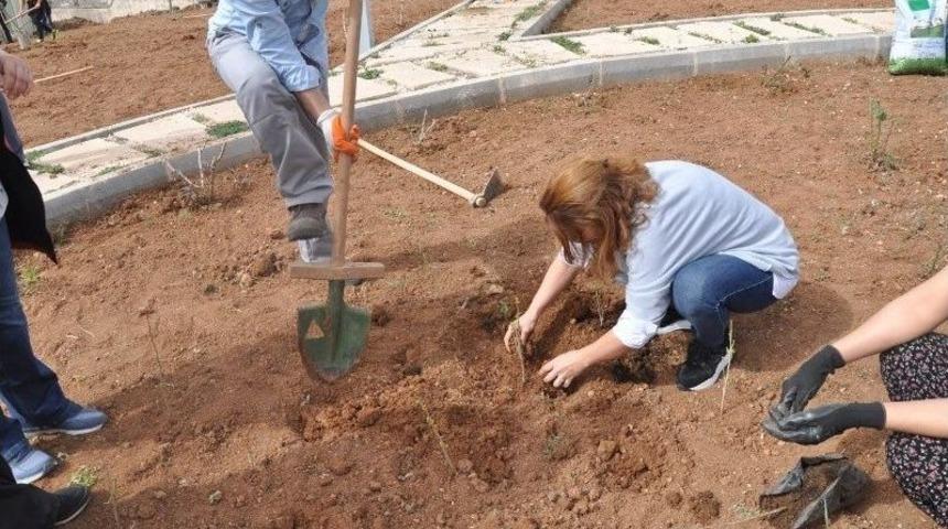 Munzur &Uuml;niversitesinde &Ccedil;evre D&uuml;zenlemesi