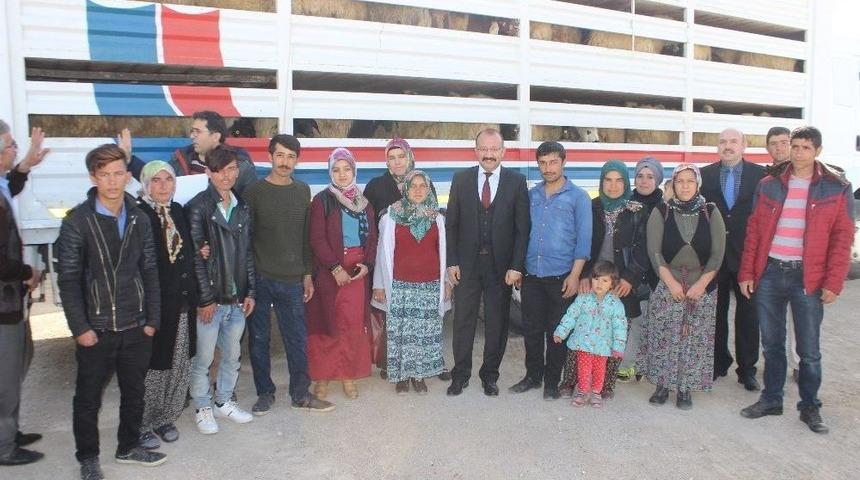 Karaman’da Genç Çiftçiler, Koyunlarını Teslim Aldı