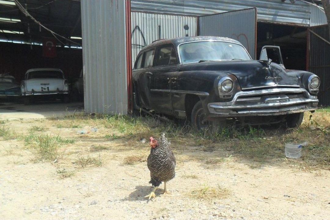 (&ouml;zel) "bu Mesleği Yapmak &Ccedil;ılgınlık"