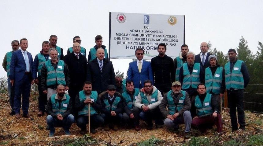 Şehit Savcı Adına Muğla&rsquo;da Hatıra Ormanı