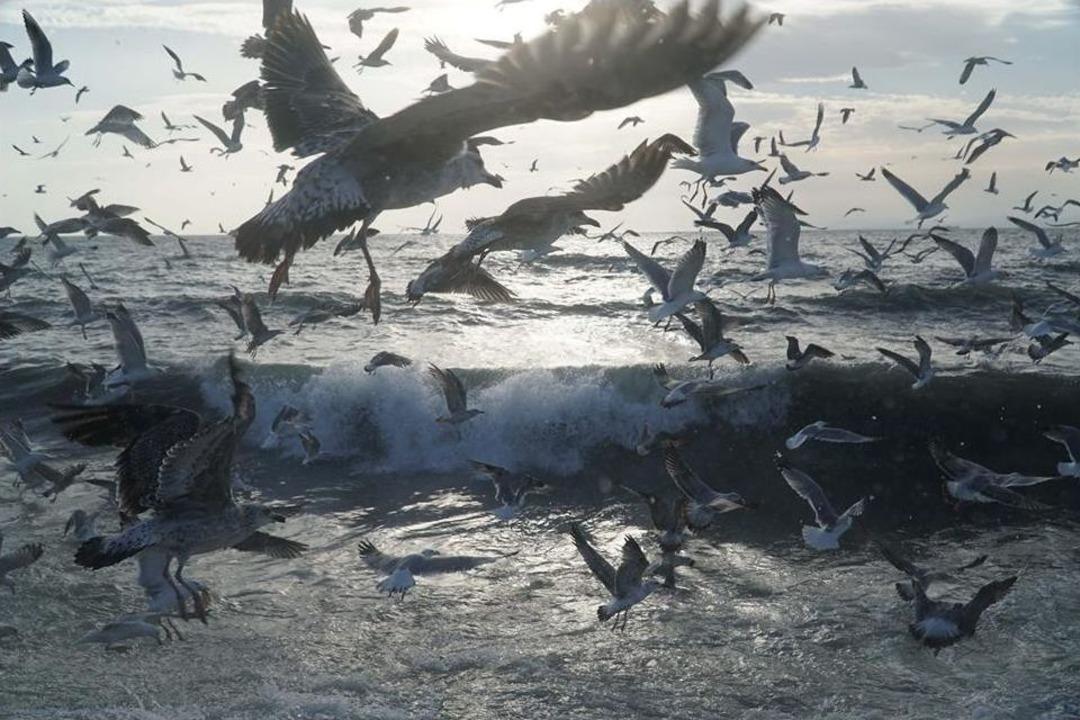 Marmara&rsquo;da Lodos Etkisini S&uuml;rd&uuml;r&uuml;yor
