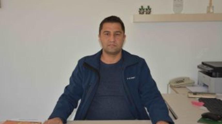 Dalyan Kefal Balığı Festivali 17 Aralık&rsquo;ta Yapılacak