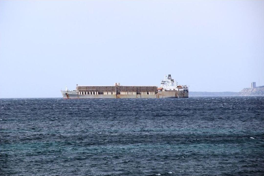 69 Bin Hayvan Y&uuml;kl&uuml; Gemi &Ccedil;anakkale Boğazı&rsquo;nda Eğim Tespit Edilmesi &Uuml;zerine Demirledi