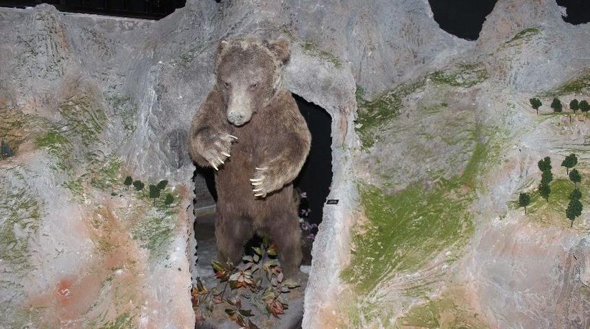 Yaban Hayatı Tanıtım Merkezini 25 Bin Kişi Ziyaret Etti