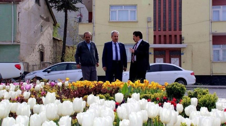 Akşehir A&ccedil;an &Ccedil;i&ccedil;eklerle Renklendi