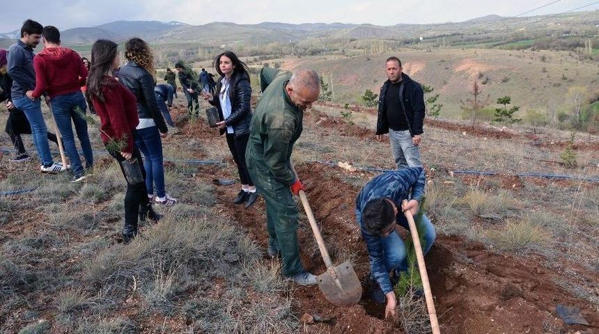 Y&uuml;ksek Okulda Fidan Dikimi