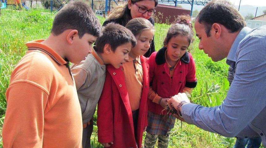 Okullarda &lsquo;organik Tarım&rsquo; Eğitimi