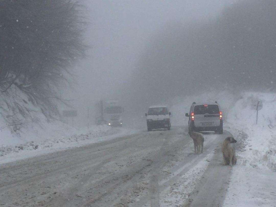 Domani&ccedil;&rsquo;te Kar Yağışı