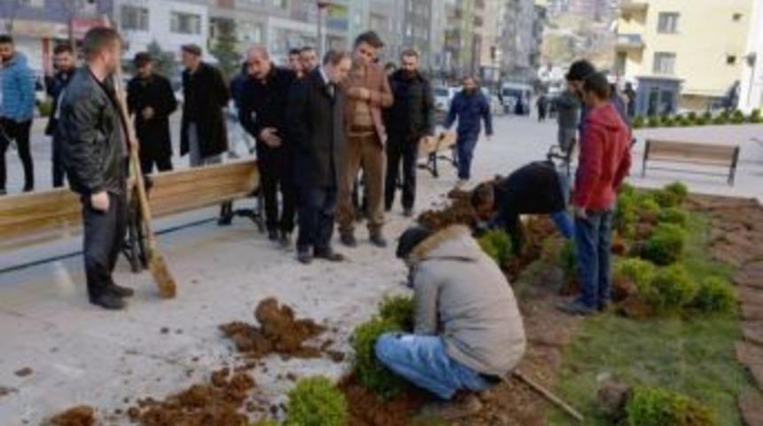 Hakkari Belediyesi Peyzaj &Ccedil;alışmaları Başlattı