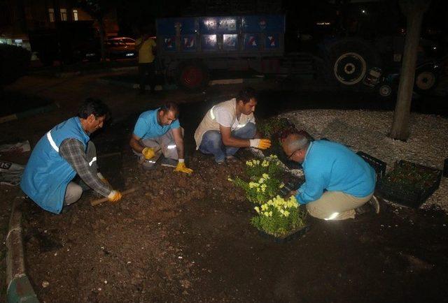 Haliliye’de Parklar Çiçeklerle Donatıldı