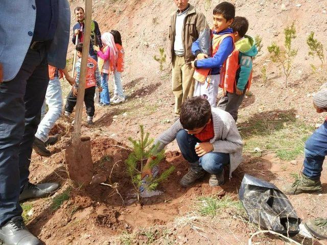 Aydıncık’ta Fidanlar Toprakla Buluştu