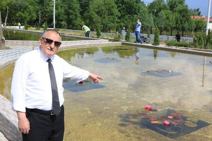 140 Çeşit Nilüfer Çiçek Açtı G4