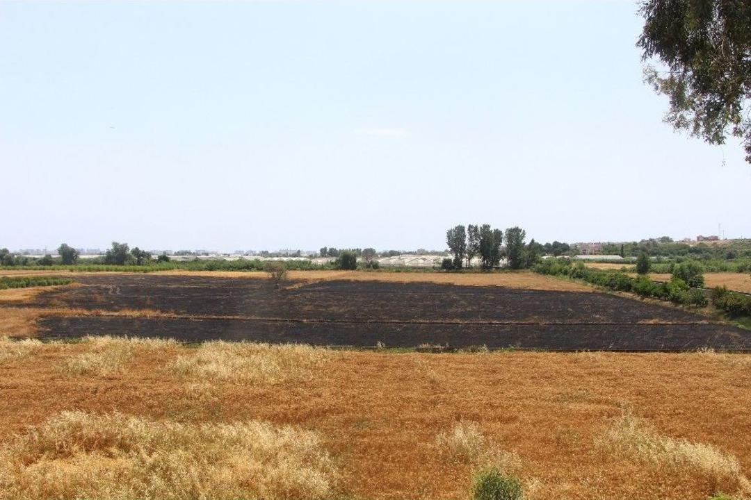 Antalyalı &Ccedil;ift&ccedil;inin Erken Buğday Hasadı Sevinci H&uuml;srana D&ouml;nd&uuml;