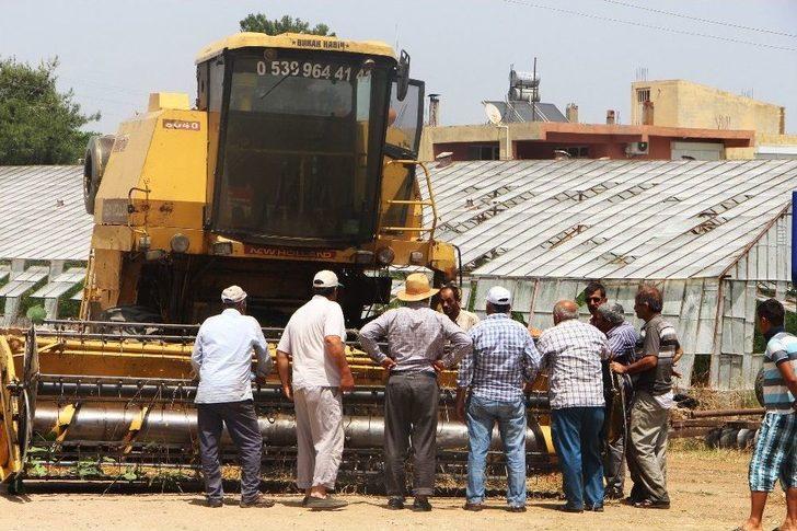 Antalyalı Çiftçinin Erken Buğday Hasadı Sevinci Hüsrana Döndü G1