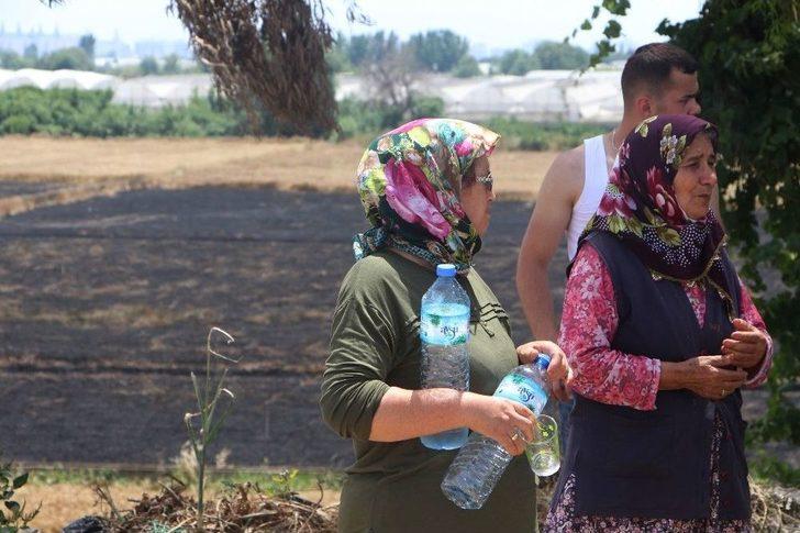 Antalyalı Çiftçinin Erken Buğday Hasadı Sevinci Hüsrana Döndü G4