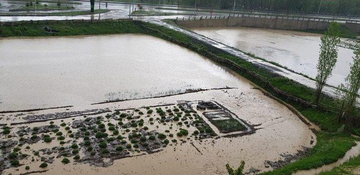 Narman’da Sağanak Yağmur Hayatı Olumsuz Etkiledi G2