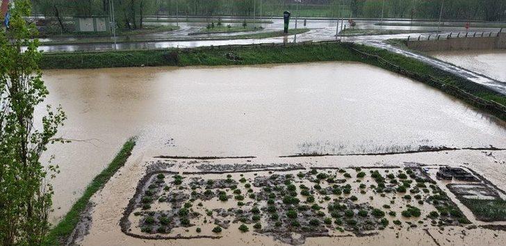 Narman’da Sağanak Yağmur Hayatı Olumsuz Etkiledi G3