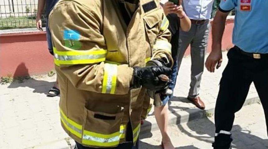 Edremit&rsquo;te Yakalanan 4 Metre Boyundaki Yılanın Sırrı &Ccedil;&ouml;z&uuml;ld&uuml;