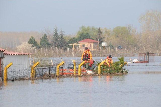 Afad Ekipleri, Taşkında Mahsur Kalan Köpeklere Yemek Verdi