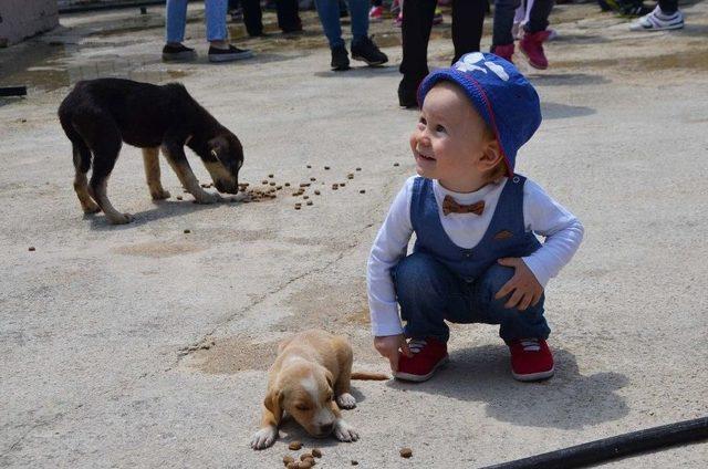 Minik Öğrencilere Hayvan Sevgisi Aşılandı