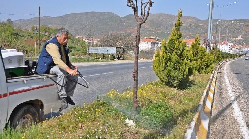 G&ouml;lbaşı İl&ccedil;esinde Ağa&ccedil;lara İla&ccedil;lı Bakım