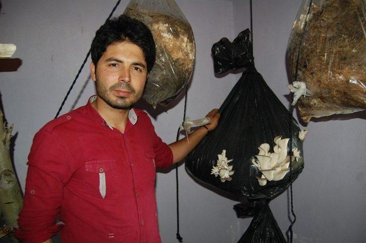 Evinde İstiridye Mantarı Yetiştiriyor G4