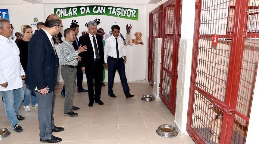 Polat, Hayvan Barınağı Ve Doğal Yaşam Alanını Ziyaret Etti