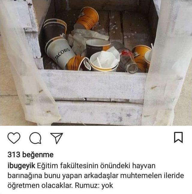 Hayvan Barınaklarını Çöp Kutusu Haline Getirdiler