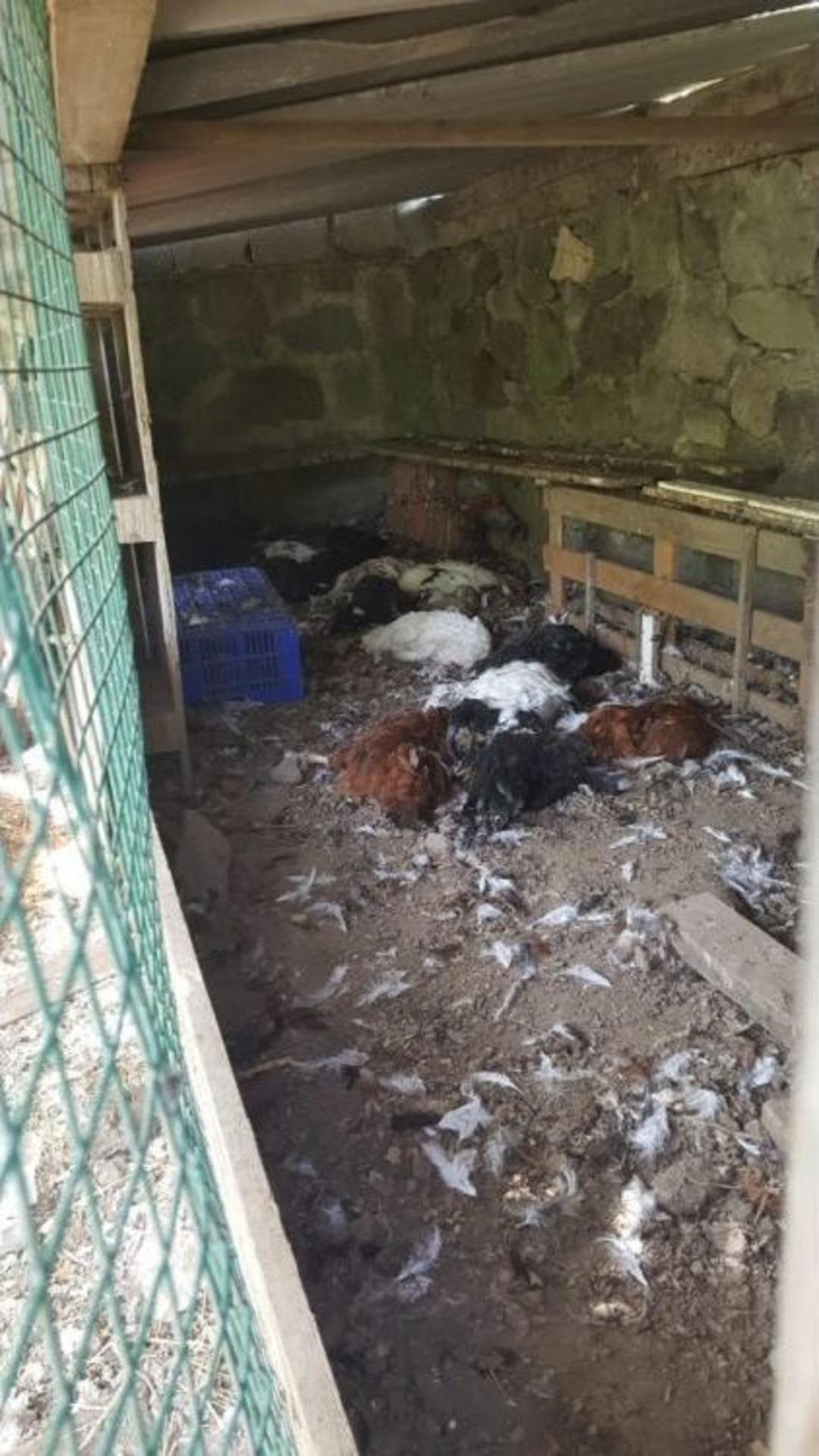 K&uuml;meste G&ouml;rd&uuml;ğ&uuml; Manzara Karşısında Şok Oldu