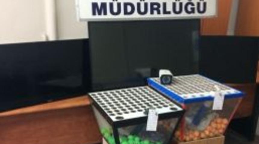 Bursa&rsquo;da Tombala Baskını