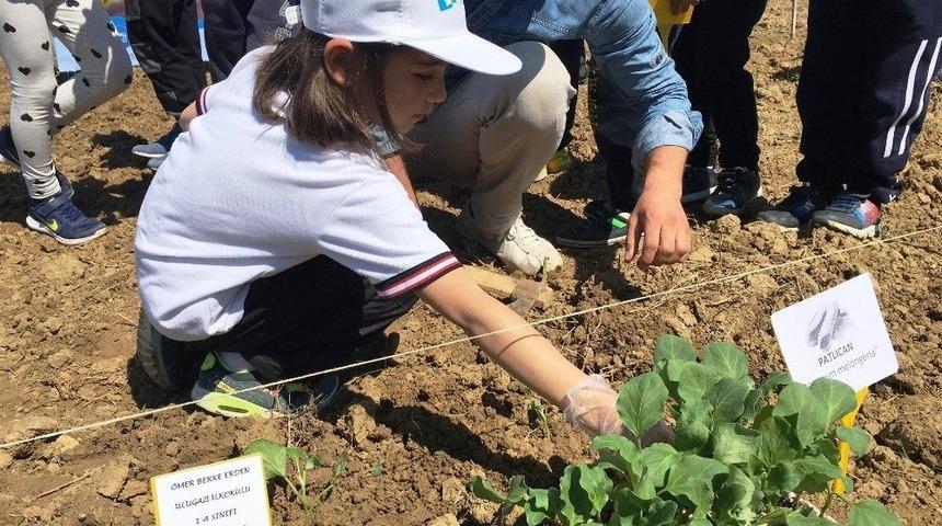 İzmit&rsquo;te Minik Eller Toprakla Buluşuyor