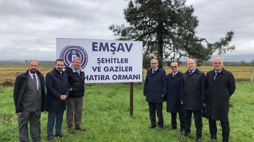 Emşav&rsquo;dan &rsquo;şehit Ve Gazi Ormanı&rsquo;na 300 Fidan