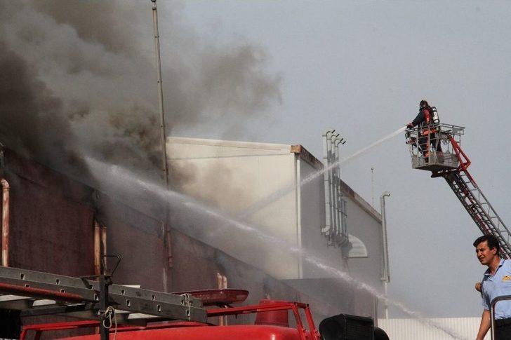 Mersin’deki Yangın Kontrol Altına Alındı G1