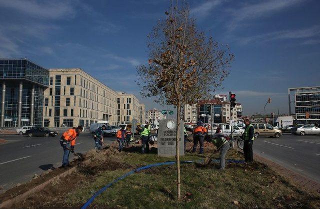 Akıllı Şehrin Sulama Sistemi Değişiyor