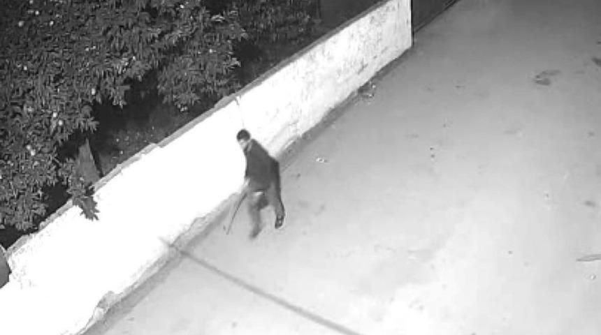 Bah&ccedil;eden 3 Koyun &Ccedil;aldı, G&uuml;venlik Kamerasına Yakalandı