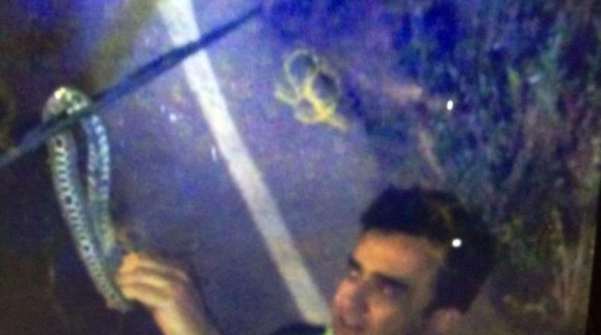 Tır&rsquo;ın Sileceğine Dolanan Yılanı Polis Eliyle Aldı