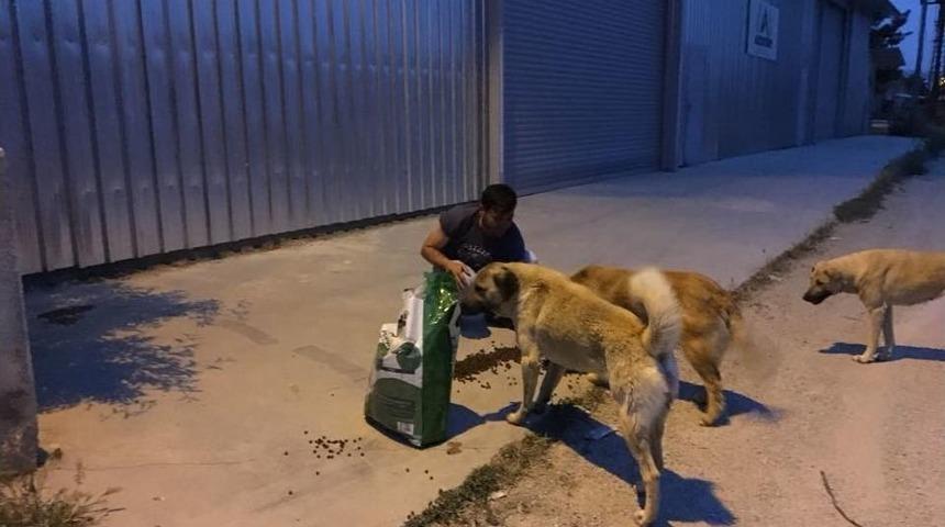 Herkes İftar Yaparken Onlar Sokak Hayvanlarını Besliyor