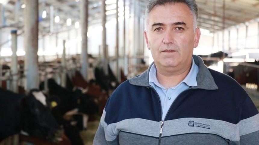 Kayan: "t&uuml;rkiye&rsquo;deki B&uuml;y&uuml;kbaş Hayvanlar Avrupa Standartlarında"