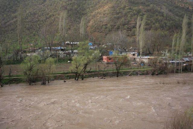 Habur Çayı Taştı