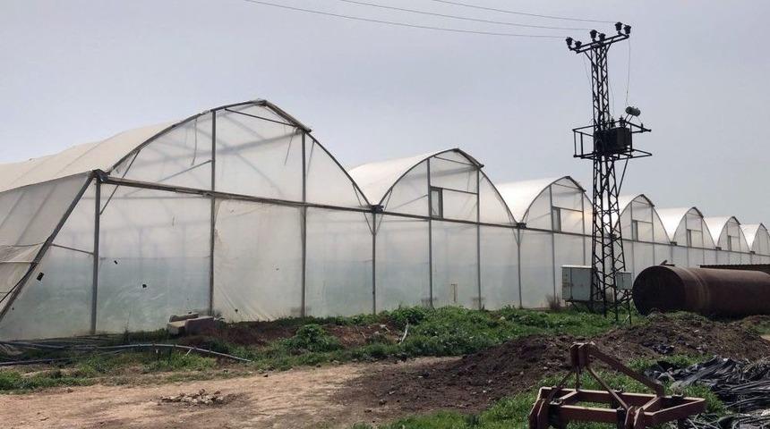 Milyonluk Serada Ka&ccedil;ak Elektrik Trafosu