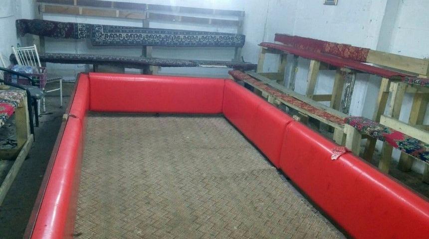 Evin Alt Katını Arenaya Çevirmiş