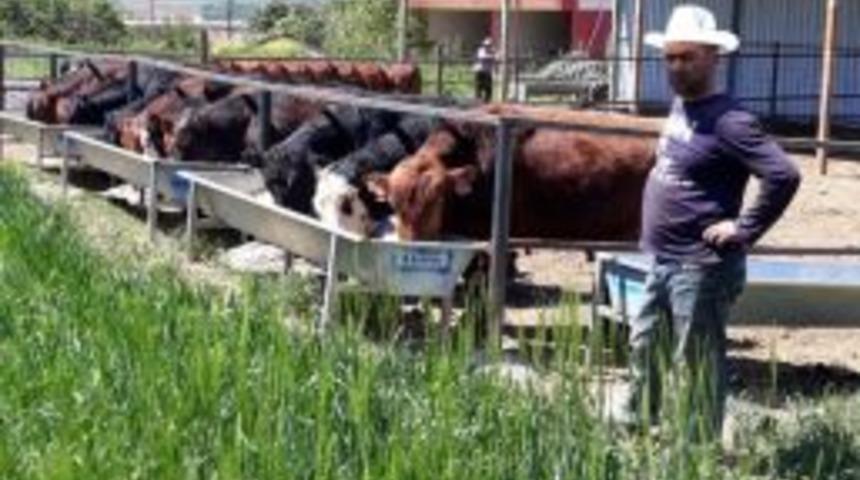 Her Yerde Aranıyordu 9 G&uuml;n Sonra Yakalandı