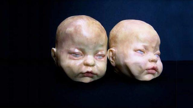 Bu Pastalar Yenecek Gibi Değil!