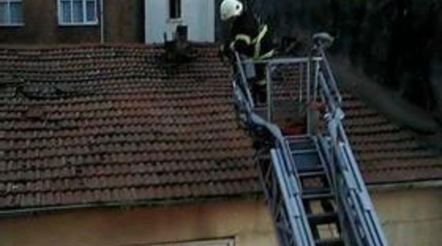 Fatsa&rsquo;da İtfaiyeden Martı Kurtarma Operasyonu