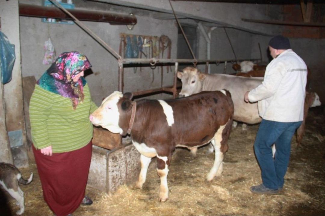 (&ouml;zel) Ahırda Dans Eden &Ccedil;ift, İzlenme Rekoru Kıran Videonun Hikayesini Anlattı