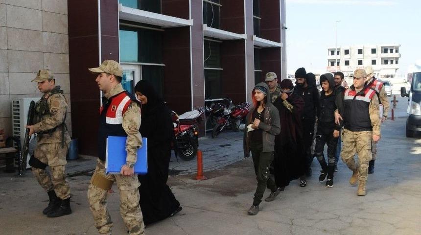 Şanlıurfa’da Terör Operasyonu: 6 Gözaltı