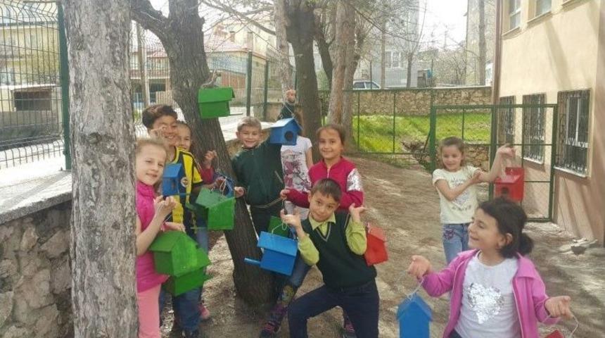 &Ouml;ğrencilerden Kuşlara Yuva